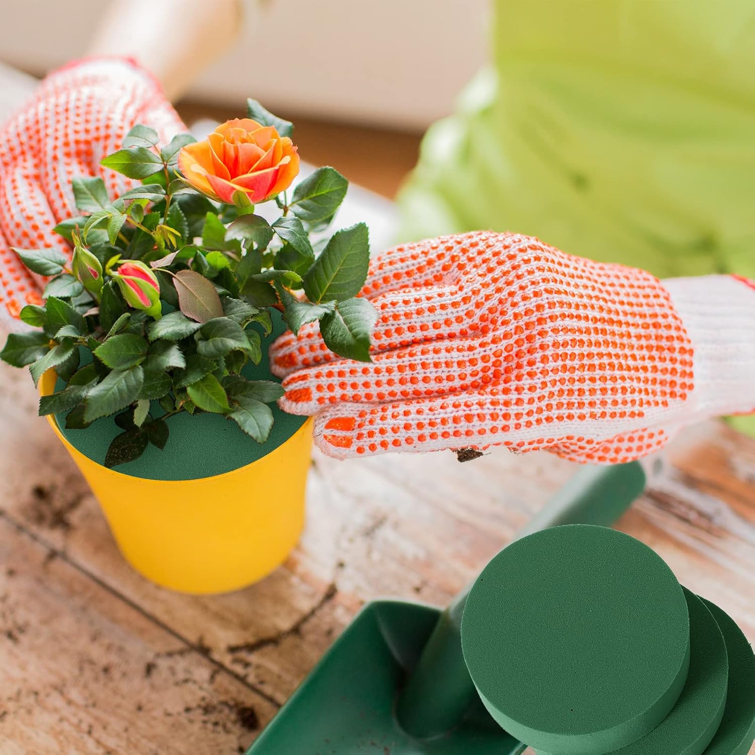 Green Floral Foam Blocks Round - Floral Foam Oasis reseña y precio
