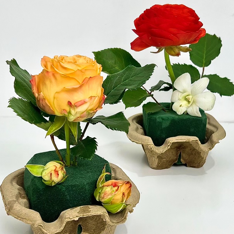 Rectangle Green Floral Foam Bl - Floral Foam Oasis reseña y precio