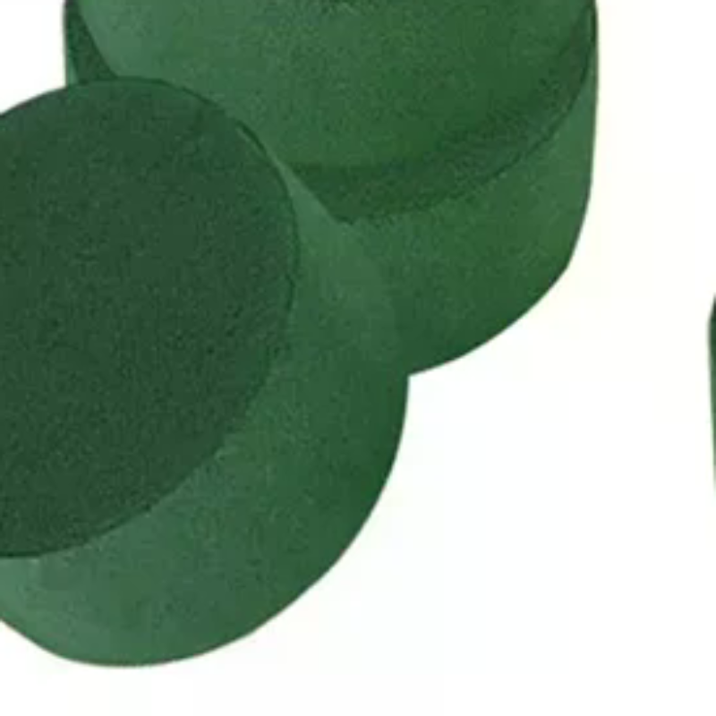Floral Mud Foam Cylinders Oasi - Floral Foam Oasis reseña y precio
